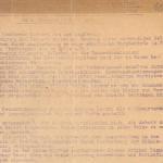 Protokoll der Sitzung vom 06.02.1919, Repro Norbert Kozicki
